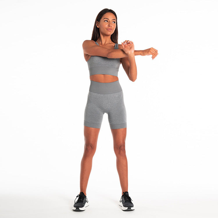 Conjunto fitness sin costuras (shorts + top)